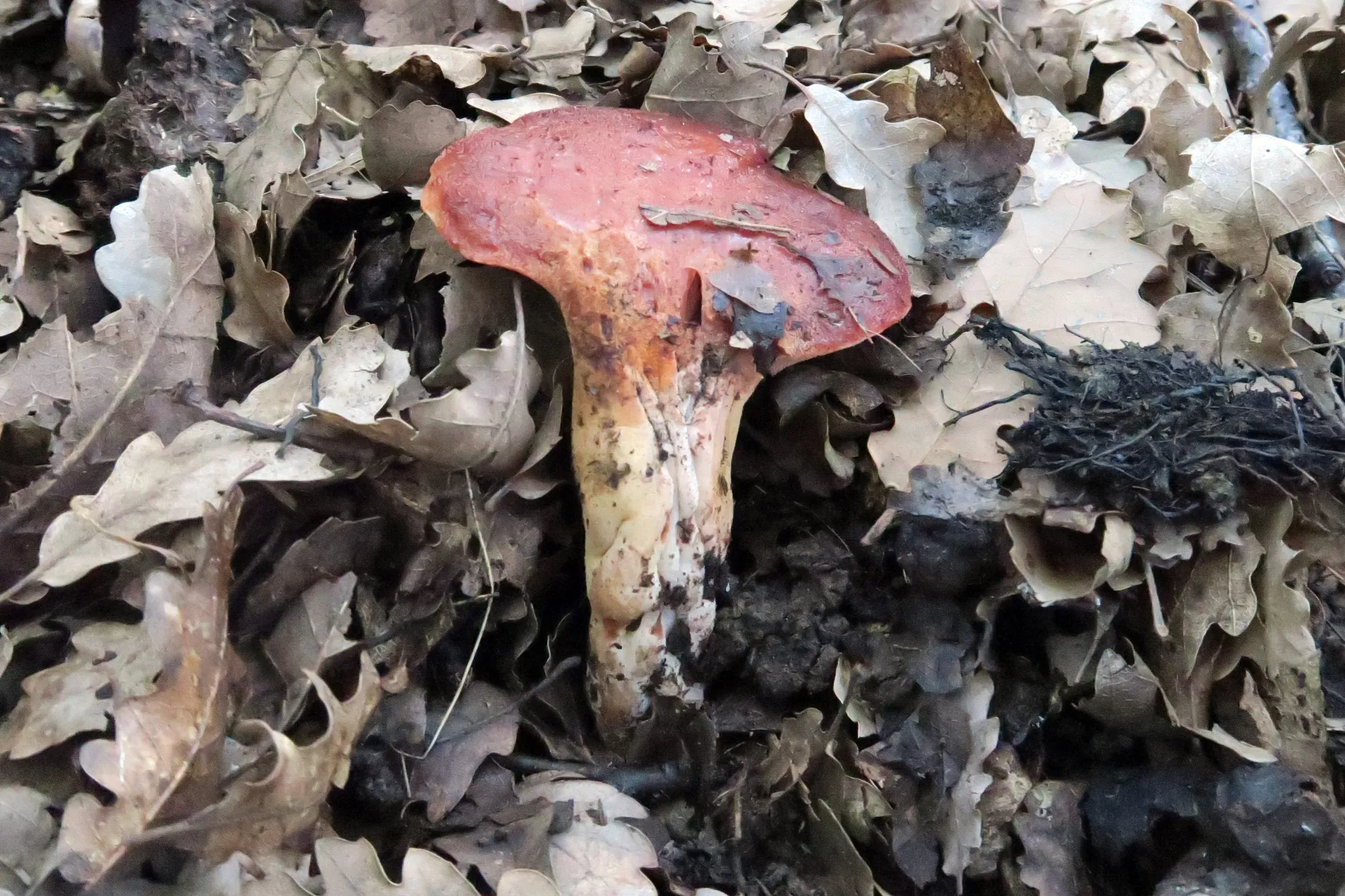 1 -